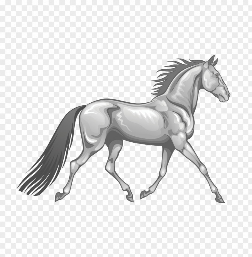 Hand Drawn Vector Walking Horse Stallion Gallop Photography Illustration PNG