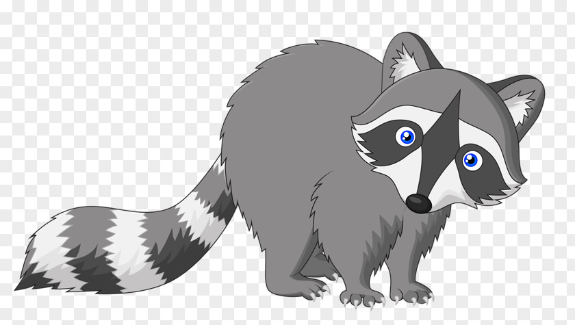 Cartoon Raccoon Drawing PNG