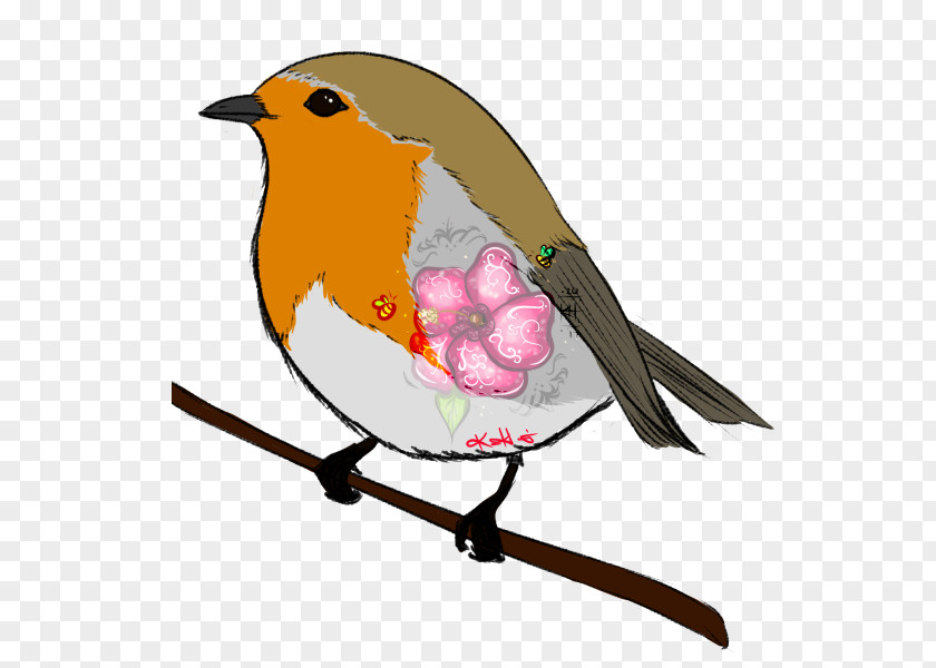 European Robin Beak Clip Art PNG