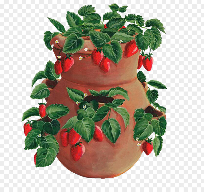 Porcelain Jar Strawberry Cross-stitch Fruit Aedmaasikas Crock PNG