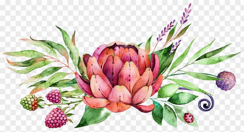 Succulent Plants Watercolor Painting Flower PNG