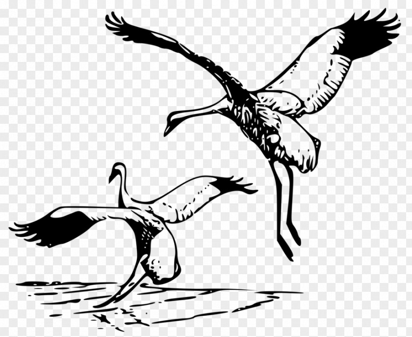 Whooping Crane Silhouette Clip Art PNG