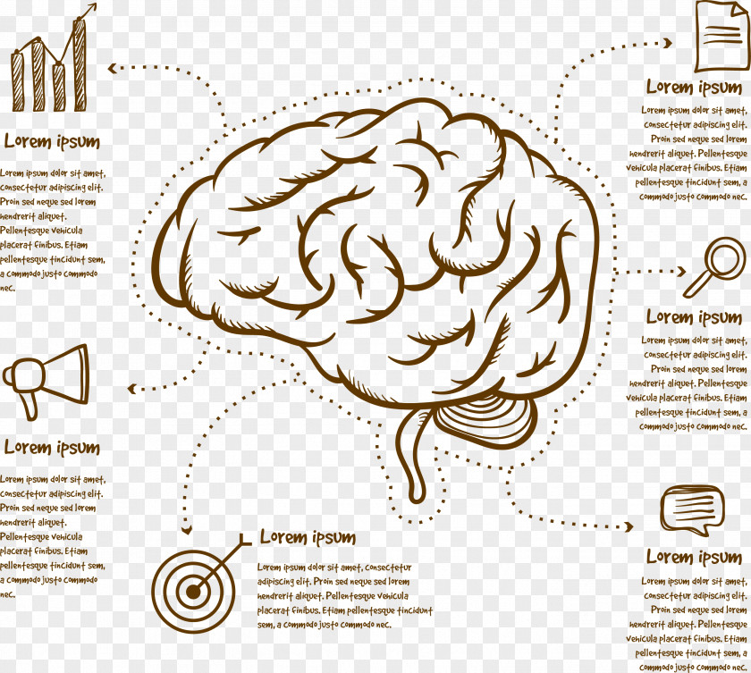 Brain Mapping Human Cerebrum Infographic PNG
