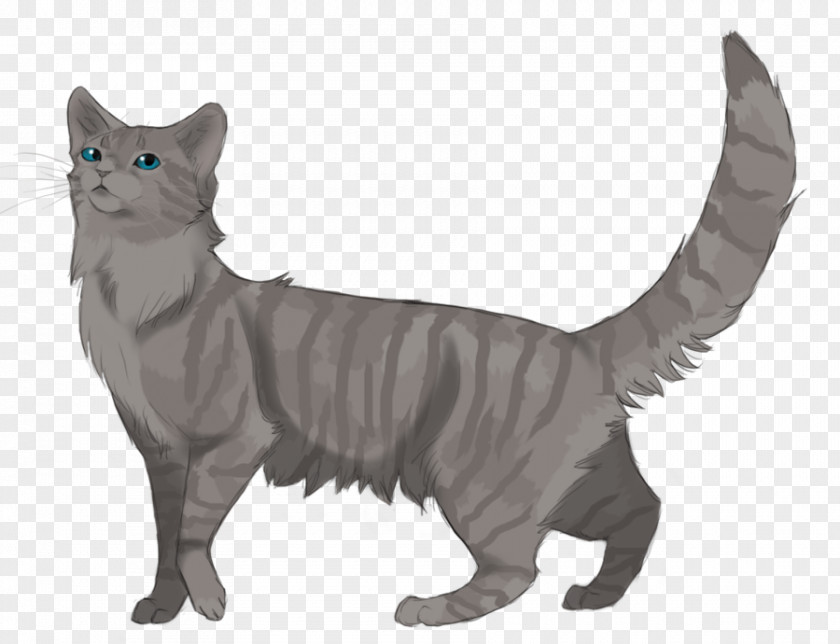 Cat Warriors Cinderheart Erin Hunter Bluestar's Prophecy PNG