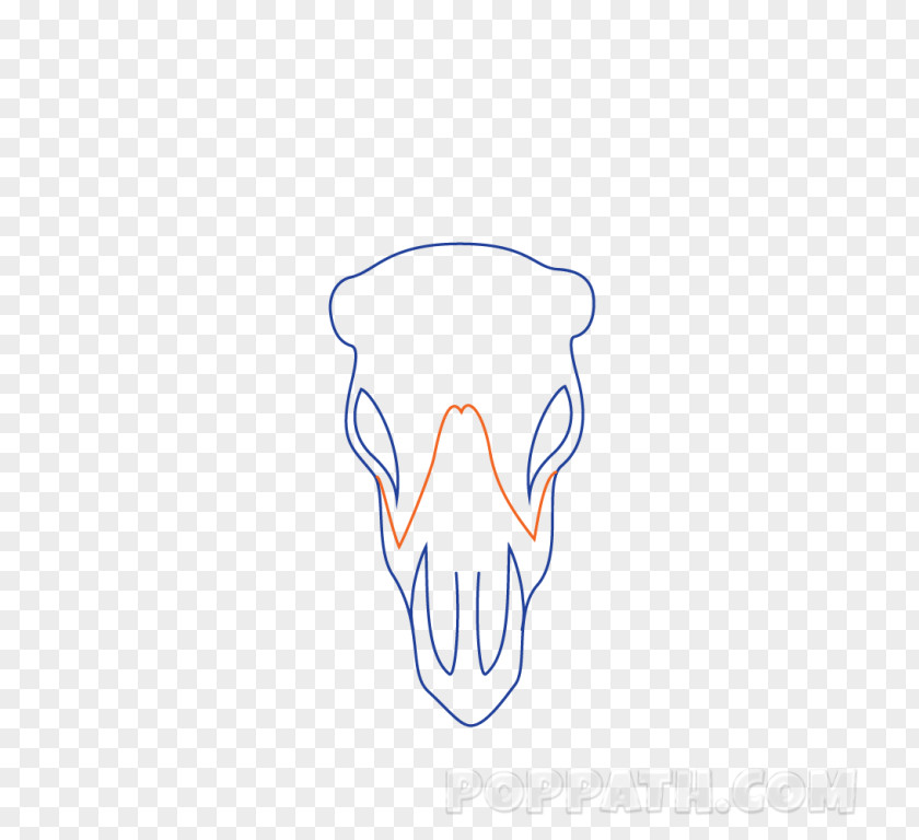 Ear Jaw Tooth Clip Art PNG