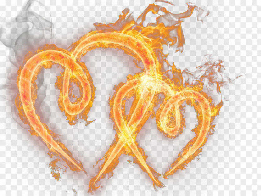 Flame Fire Clip Art PNG