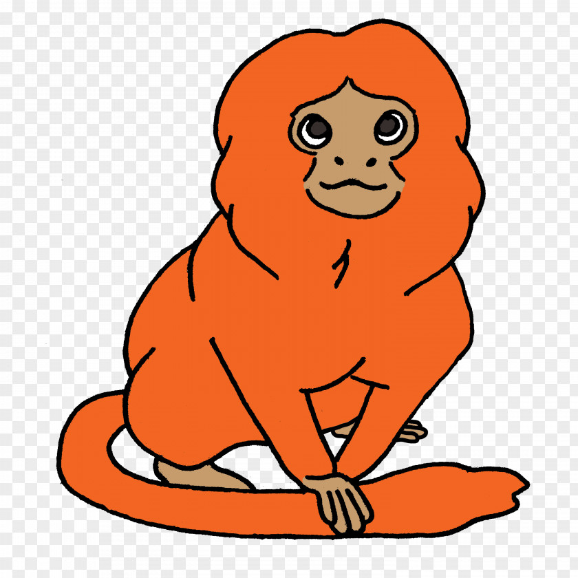 Lion Golden Tamarin Monkey Clip Art PNG