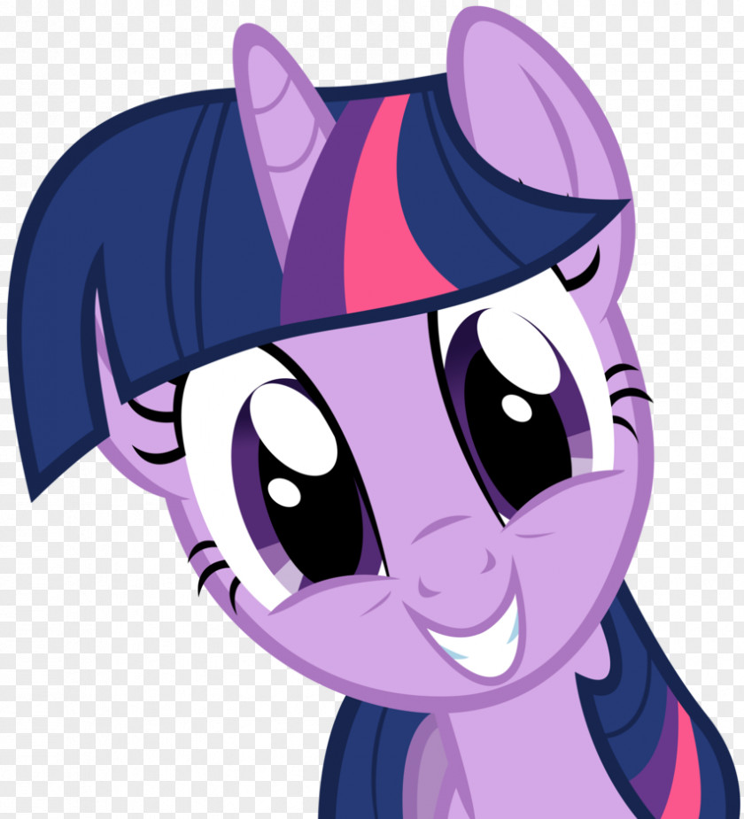 My Little Pony Twilight Sparkle Pinkie Pie Spike Princess Cadance PNG
