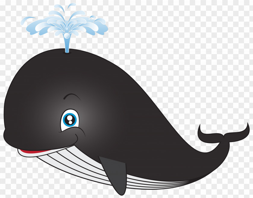 Sperm Whale Cartoon PNG whale , black illustration clipart PNG
