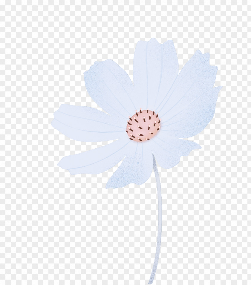 Transvaal Daisy Flower Petal Computer M PNG