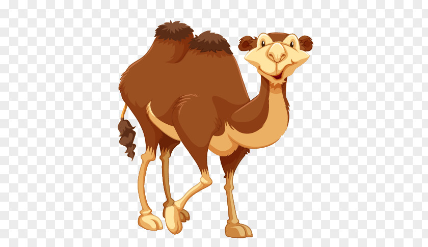 Camel Royalty-free Clip Art PNG