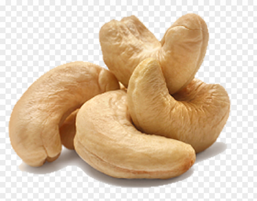 CASHEW Cashew Chicken Raw Foodism Nut Eating PNG