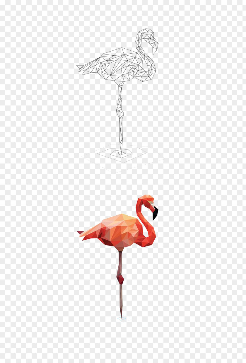 Flamingos Bird Crane Beak Wing Red PNG