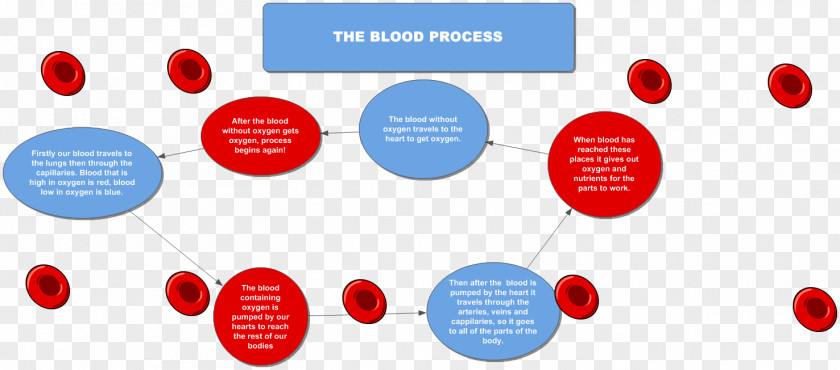 Flow Chart Flowchart Diagram Circulatory System Coagulation Blood PNG