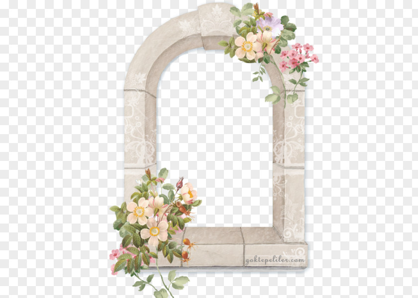 Flower Floral Design Picture Frames PNG