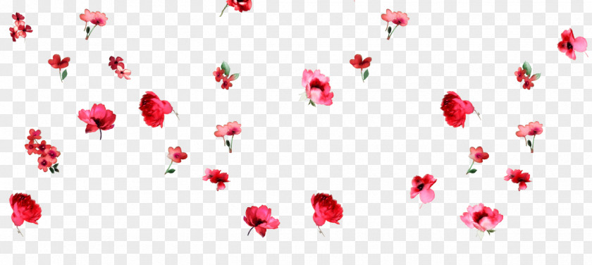 Flower Petal Valentine's Day Love Floral Design PNG