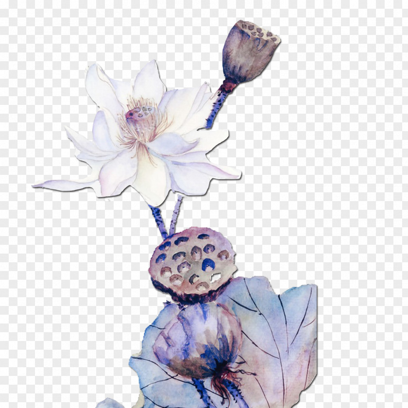 Watercolor Lotus Painting Download PNG