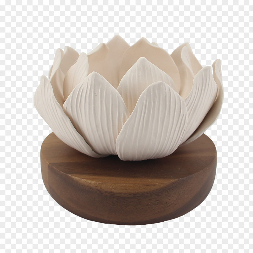 Design Product Tableware PNG