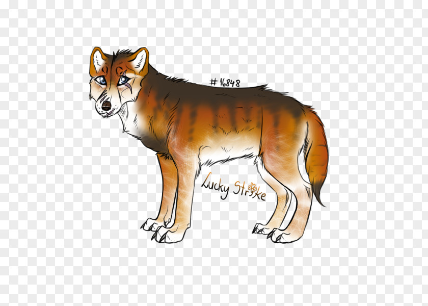 Dog Dingo Red Fox Dhole Wolf PNG