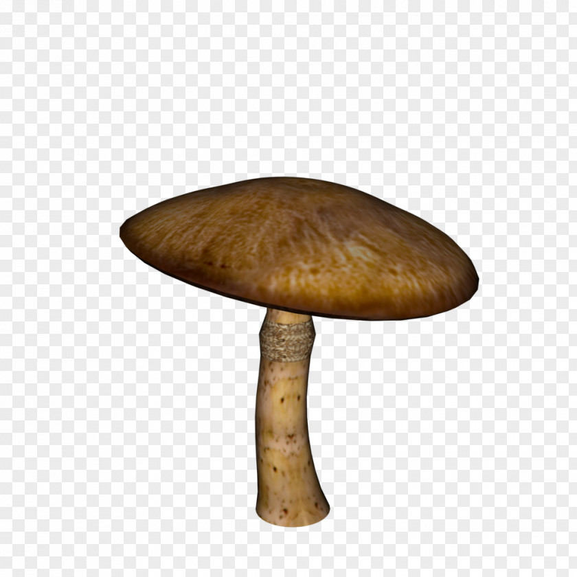 Double Twelve Posters Shading Material Mushroom PNG