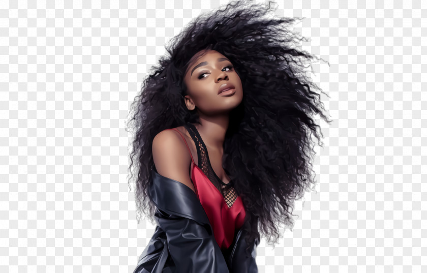Layered Hair Step Cutting Normani PNG