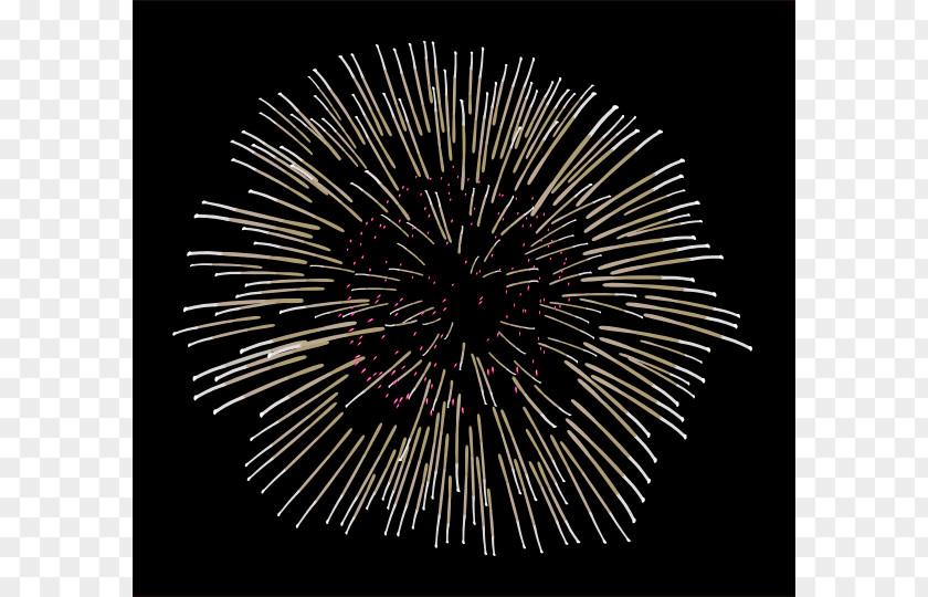 Pink Fireworks Cliparts Animation Clip Art PNG