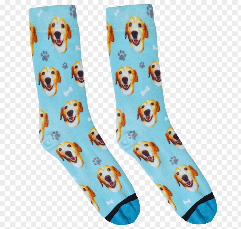 Socks Puppy Sock Dog Hosiery Cat PNG