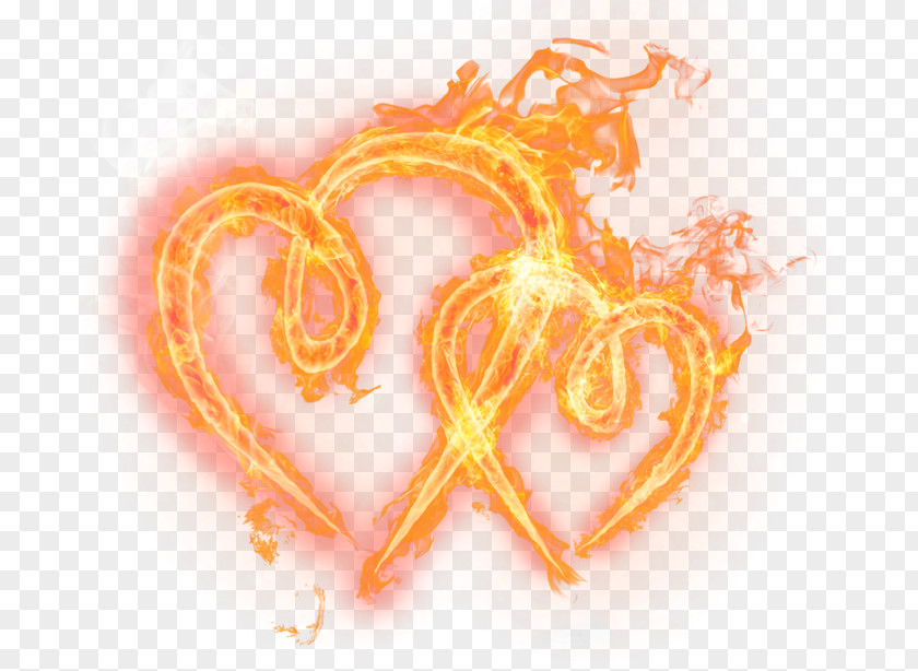 Fire HeaRT Heart Flame Data Clip Art PNG