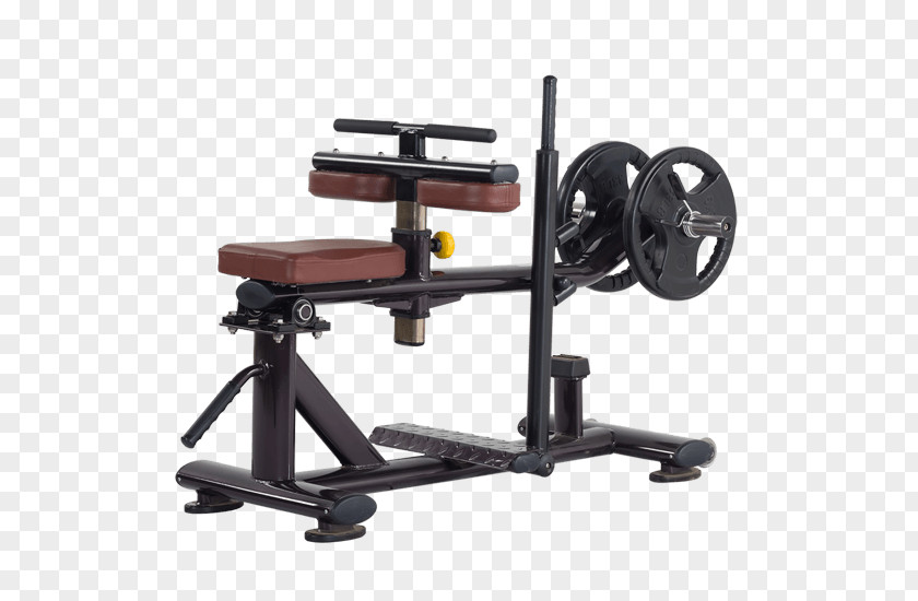 Hack Squat Machine Exercise Fitness Centre Equipment Aerobic PNG