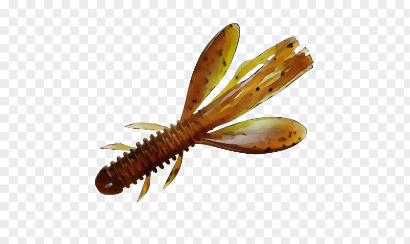 Membranewinged Insect Lobster Fishing Cartoon PNG