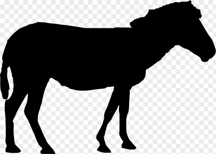 Mustang Standing Horse Silhouette PNG