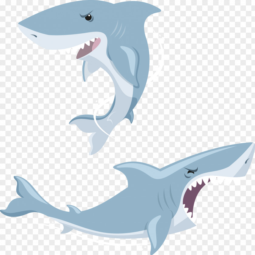 Vector Shark Euclidean PNG