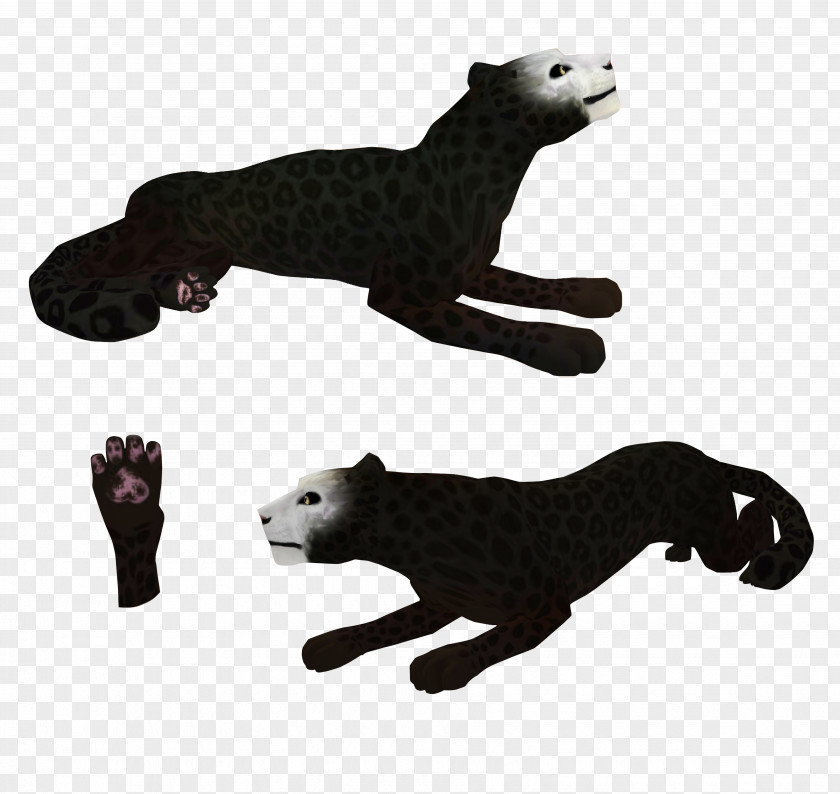Cat Canidae Dog Mustelids Mammal PNG