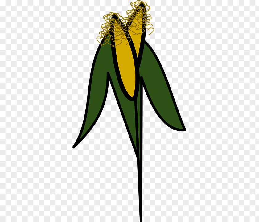 Corn Clipart Maize Agriculture Clip Art PNG