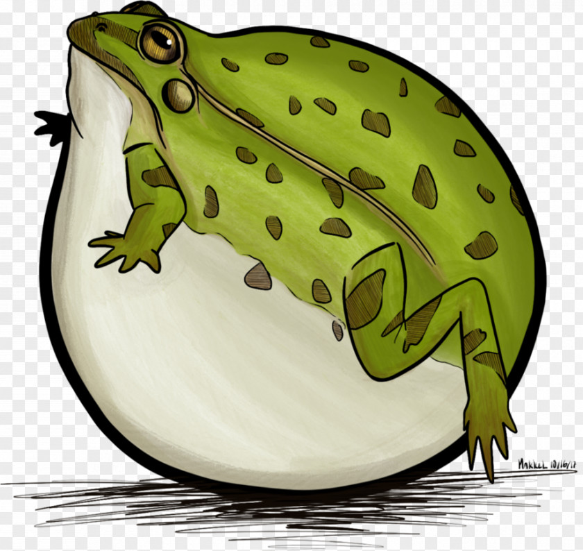 Frog American Bullfrog True T-shirt Toad PNG