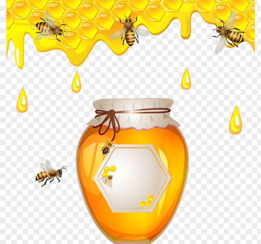 Honey Pattern Bee Honeycomb PNG