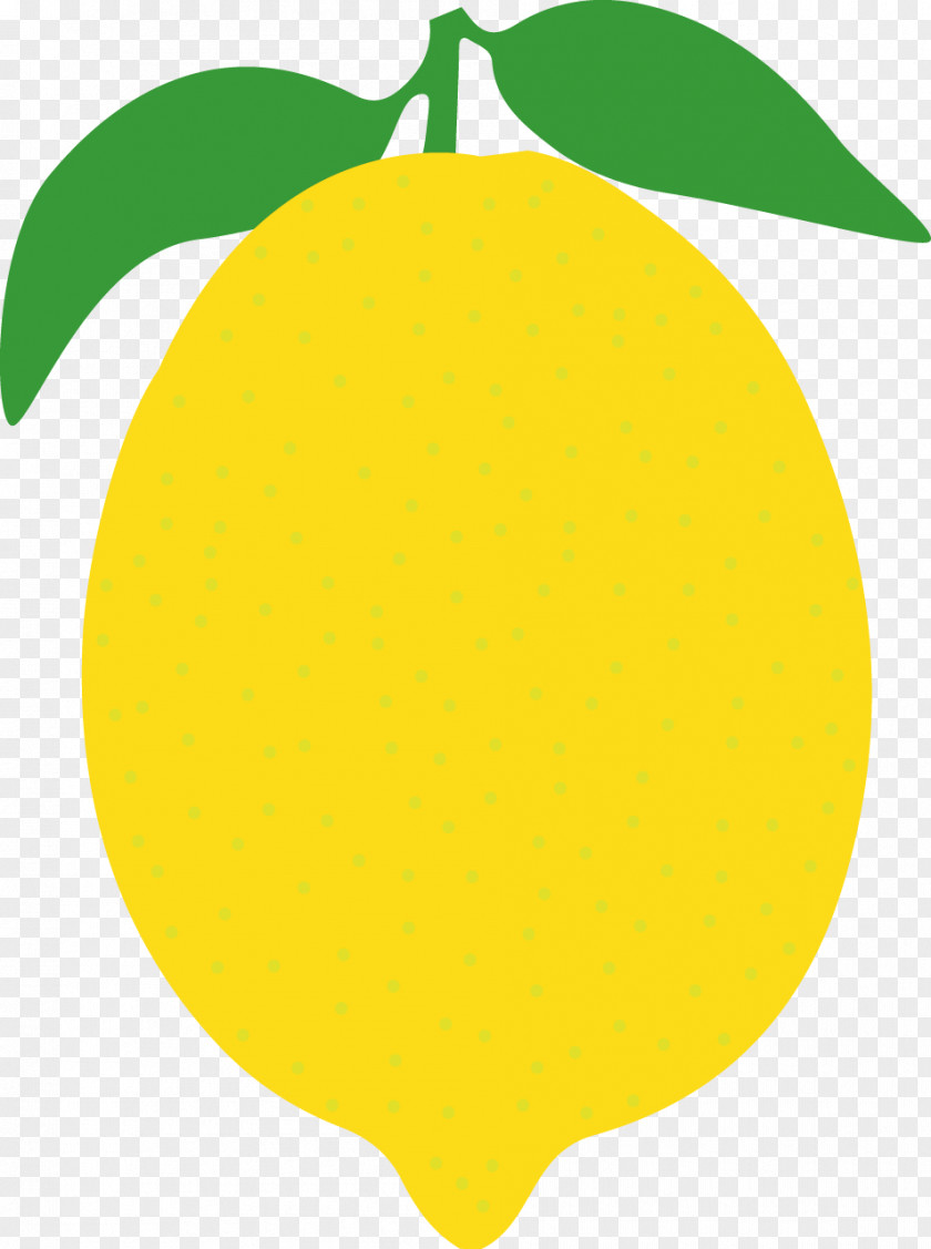 Line Citrus Clip Art PNG