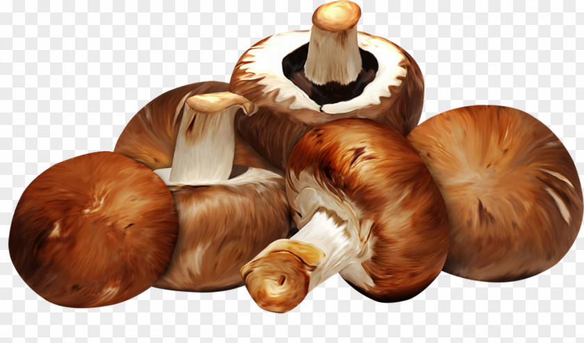 Mushroom Scaloppine Edible Shiitake Food PNG
