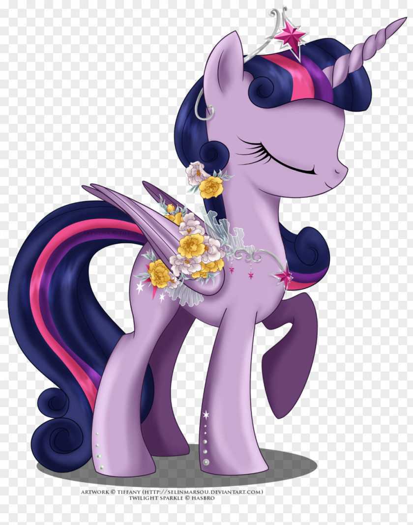 My Little Pony Twilight Sparkle Rarity Applejack Derpy Hooves PNG