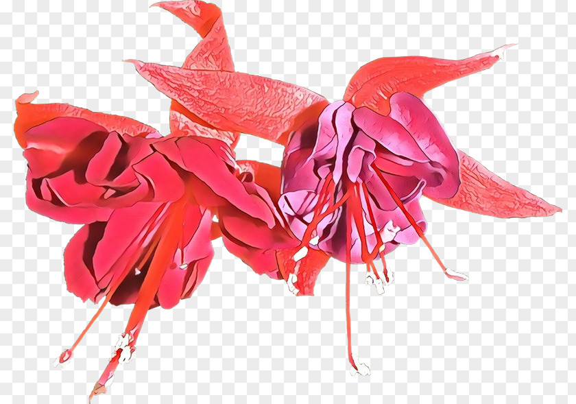 Red Plant Flower Fuchsia PNG