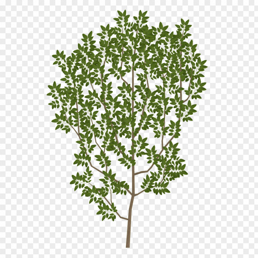 Branch Tree Leaf Texture Mapping UV PNG