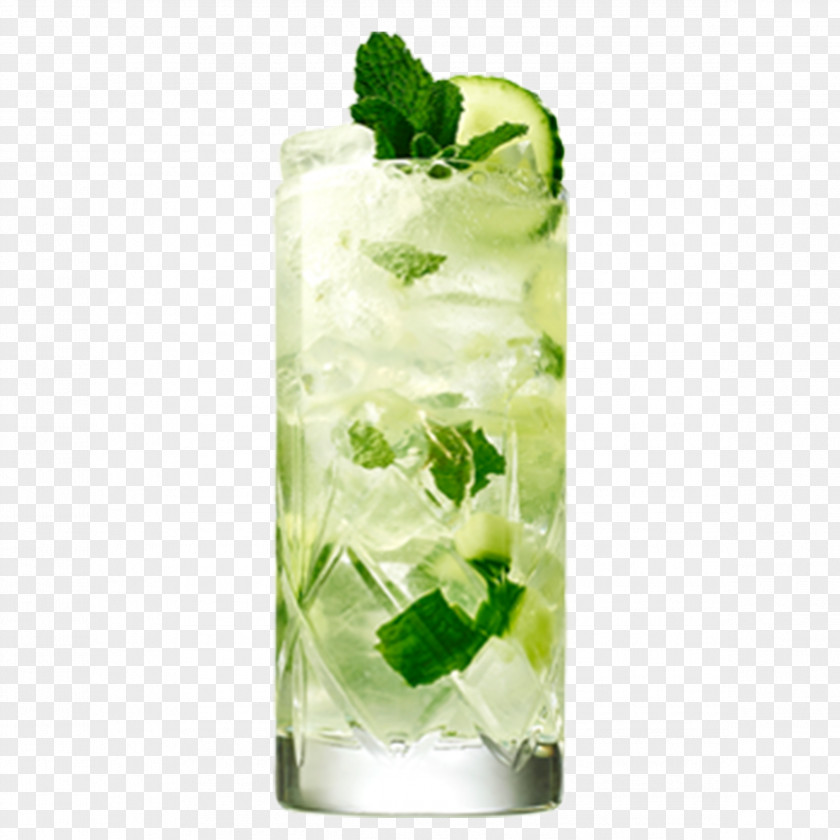 Cucumber Gin And Tonic Cocktail Buck Distilled Beverage PNG