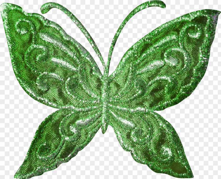 Decorative Butterfly Model Albom Clip Art PNG