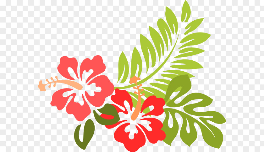 Hibiscus Laevis Clip Art PNG