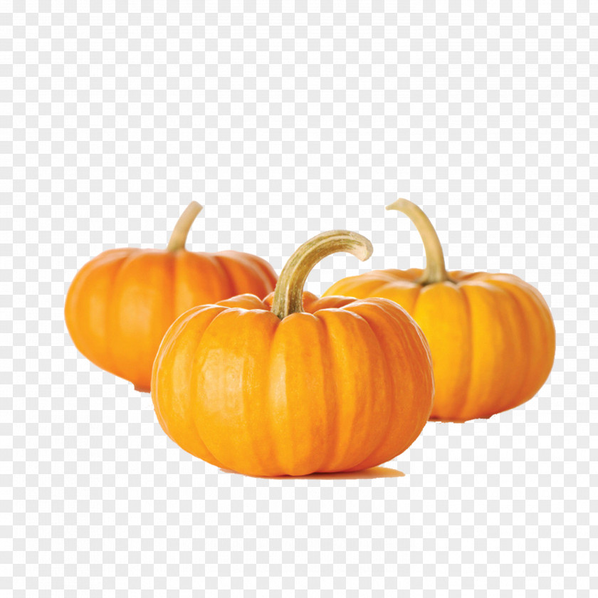 Pumpkin Bread Muffin Seed Vegetable PNG