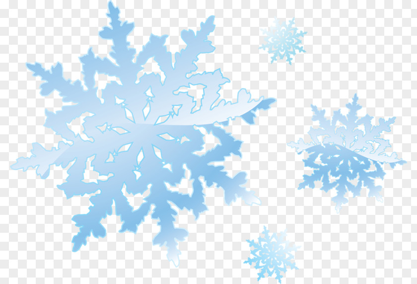 Snowflake Clip Art PNG