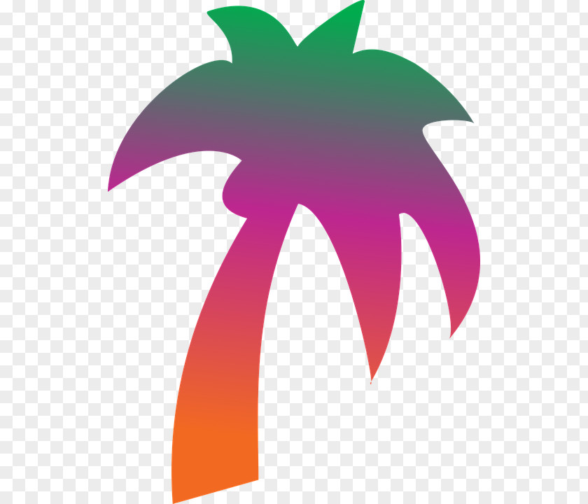 Tree Clip Art Palm Trees Coconut Geography Clipart PNG