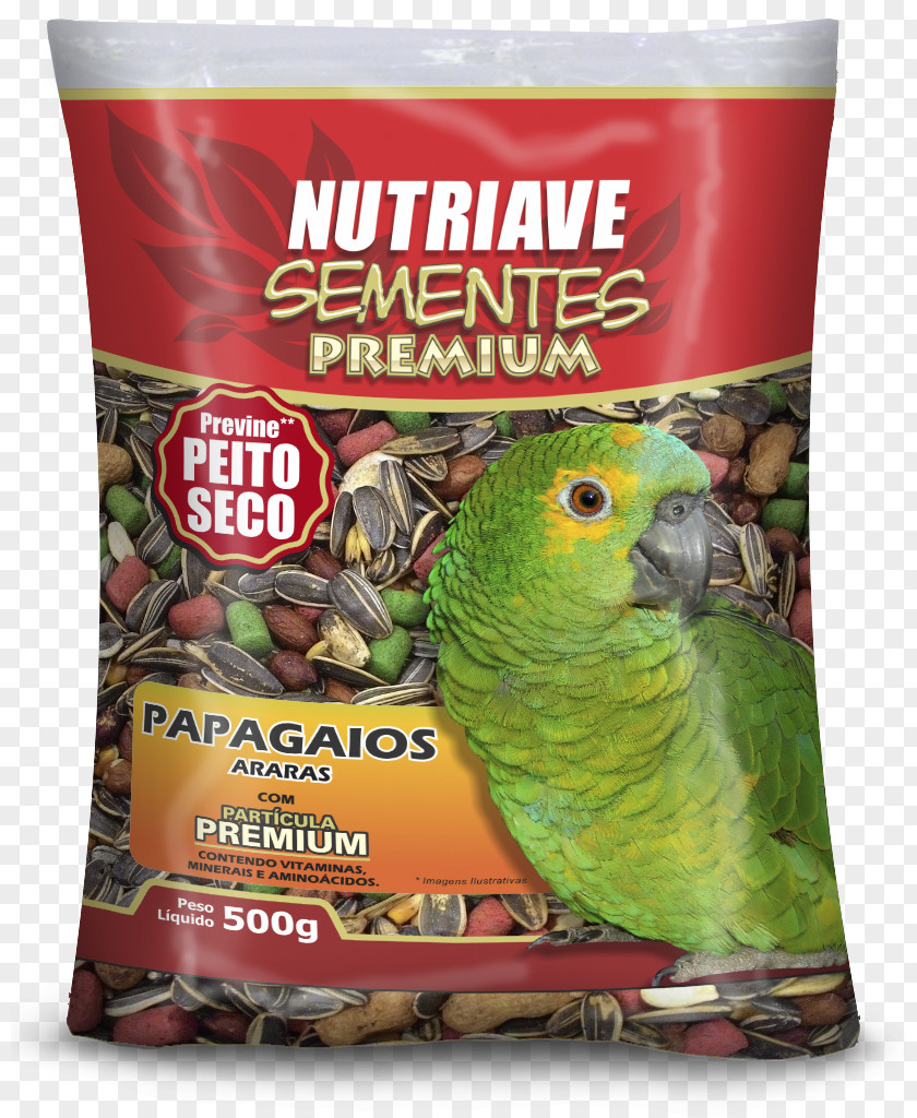 Bird Food Atlantic Canary Pet Parrot PNG