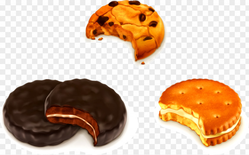 Biscuit Chocolate Chip Cookie Euclidean Vector PNG