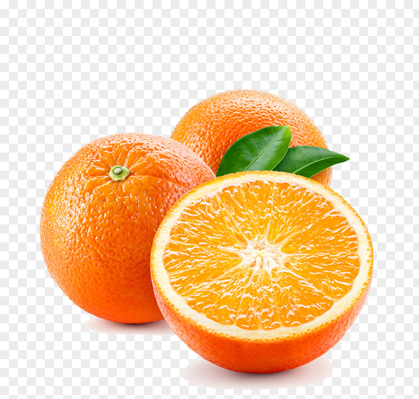 Bitter Orange Tangerine PNG
